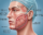A bichectomia é um procedimento estético que remove as bolsas de gordura localizadas nas bochechas, proporcionando um contorno facial mais afinado e harmonioso.